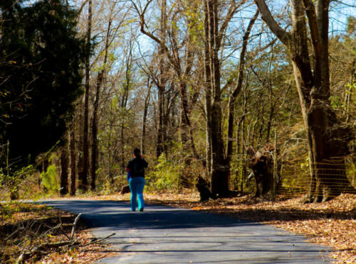 Walking Trail